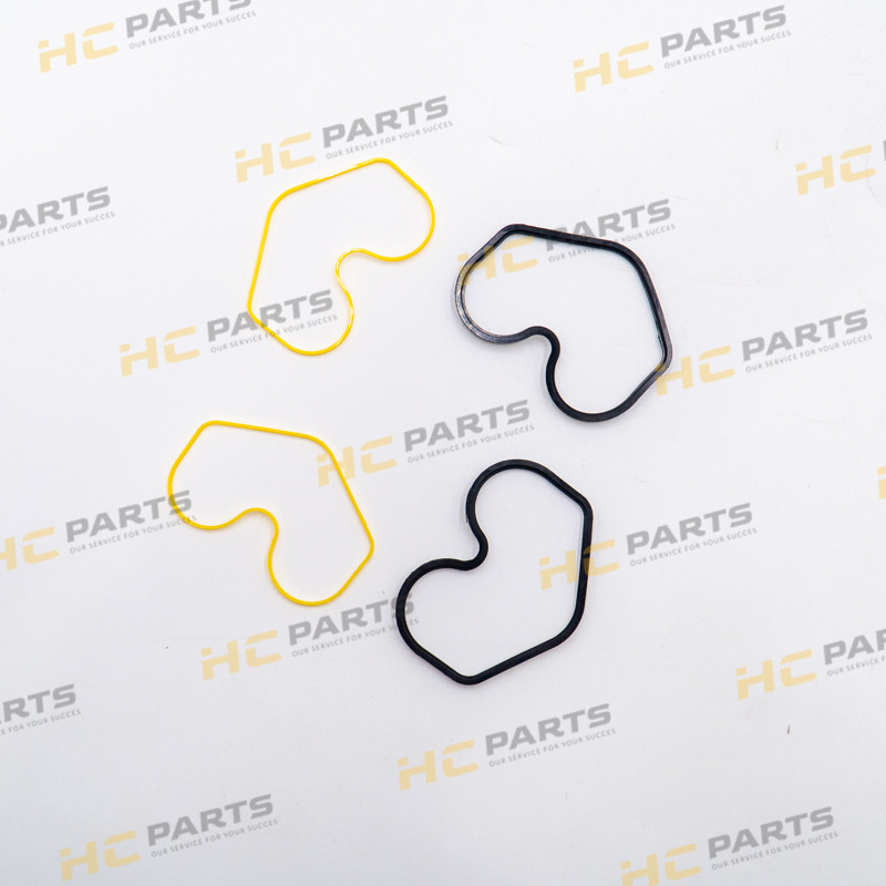 JCB комплект уплотнений гидравлического насоса-AZERI PARTS
