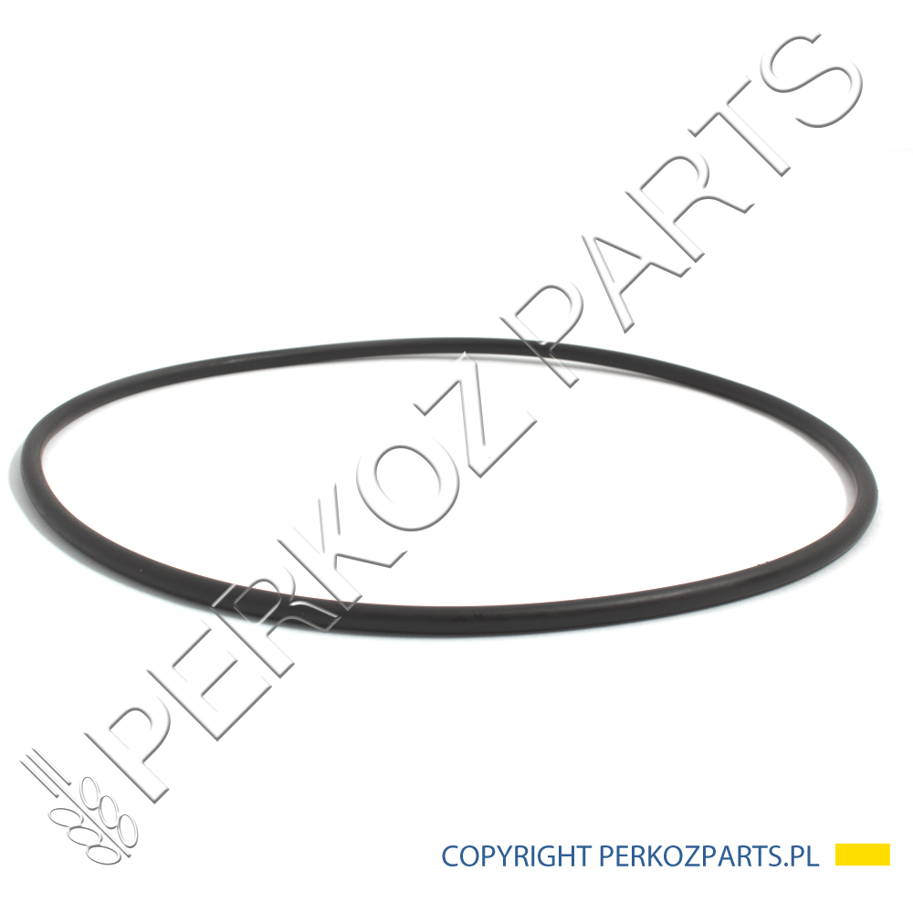 Уплотнительное кольцо O-RING OBUDOWY FILTRA 190003121062
